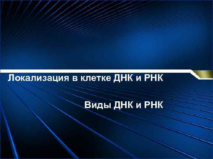 Локализация в клетке ДНК и РНК Виды ДНК и РНК 