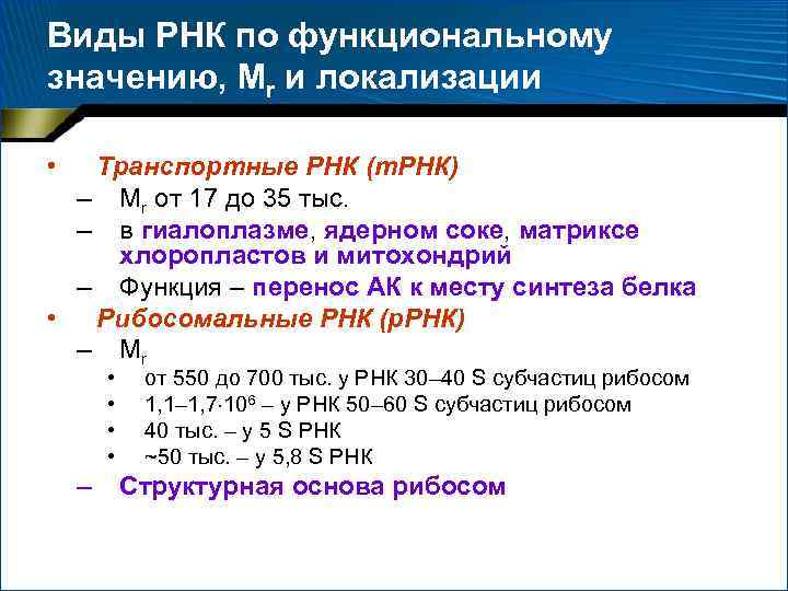 Виды РНК по функциональному значению, Мr и локализации • Транспортные РНК (т. РНК) –