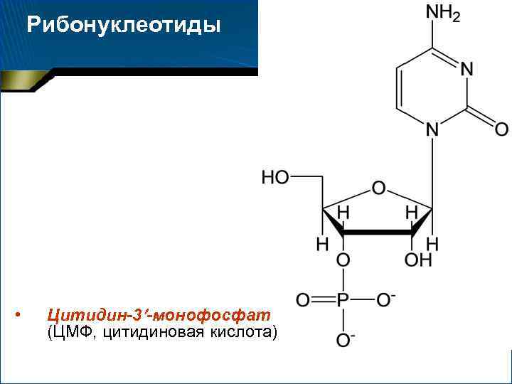 Схема образования 5 цмф