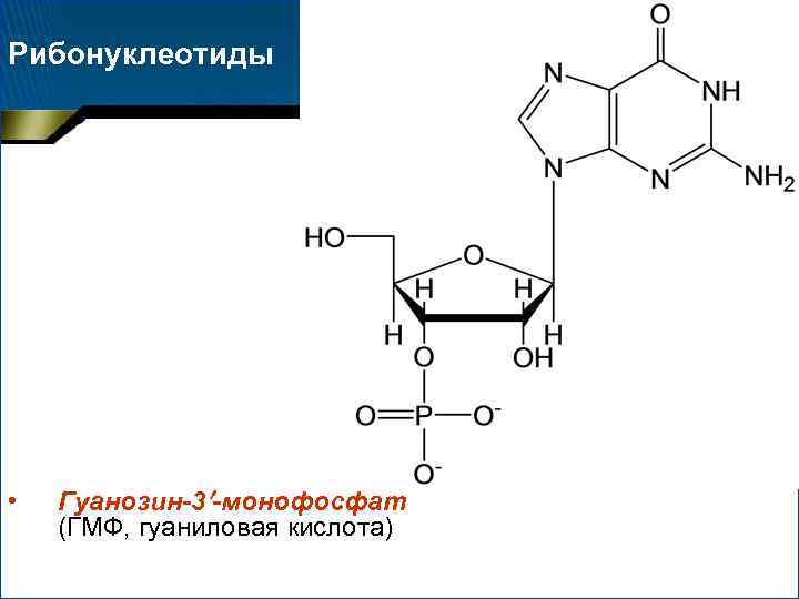 Гуаниловый нуклеотид днк