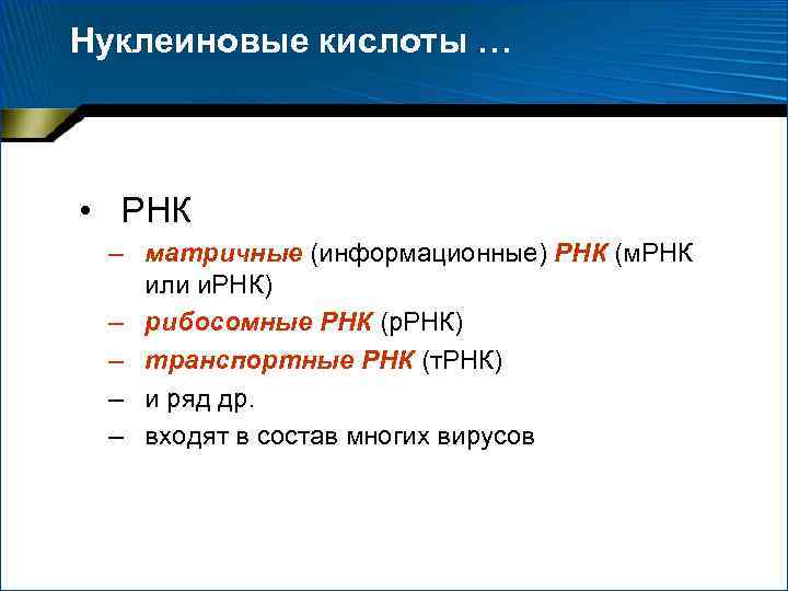 Нуклеиновые кислоты … • РНК – матричные (информационные) РНК (м. РНК или и. РНК)