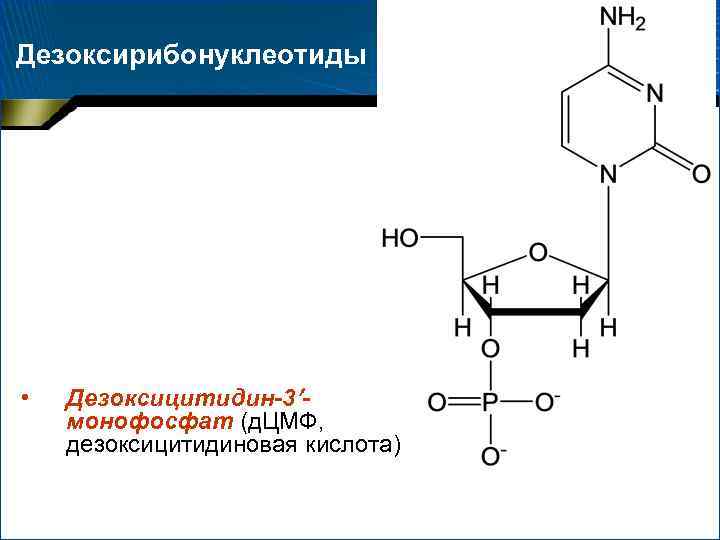 Схема образования дезоксицитидина