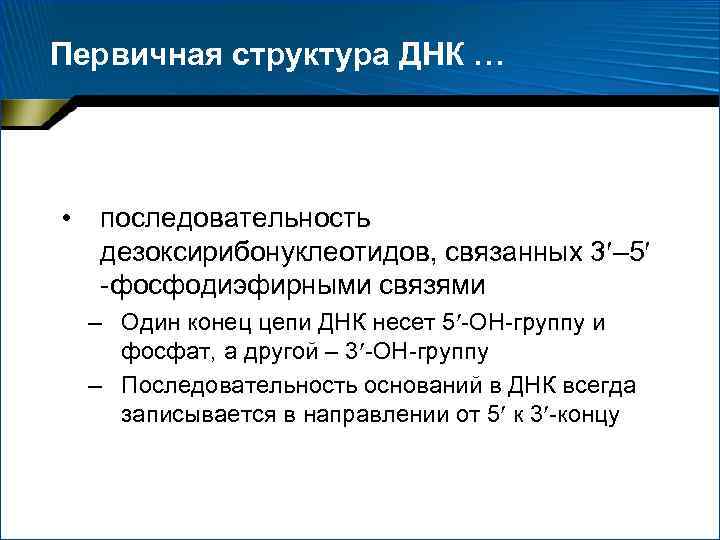 Первичная структура ДНК … • последовательность дезоксирибонуклеотидов, связанных 3 – 5 -фосфодиэфирными связями –