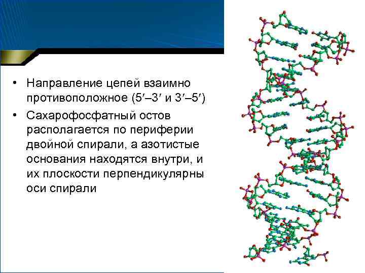  • Направление цепей взаимно противоположное (5 – 3 и 3 – 5 )