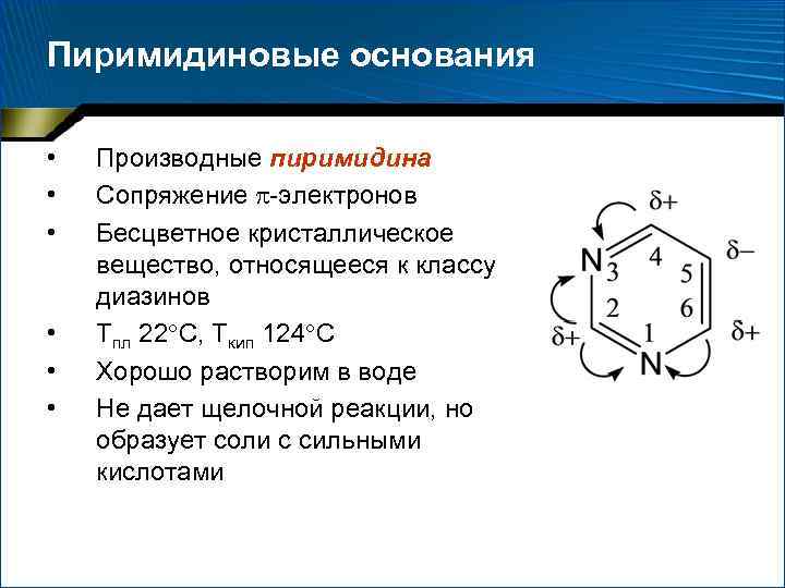 Пиримидиновые основания • • • Производные пиримидина Сопряжение -электронов Бесцветное кристаллическое вещество, относящееся к