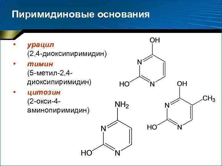 Пиримидиновые