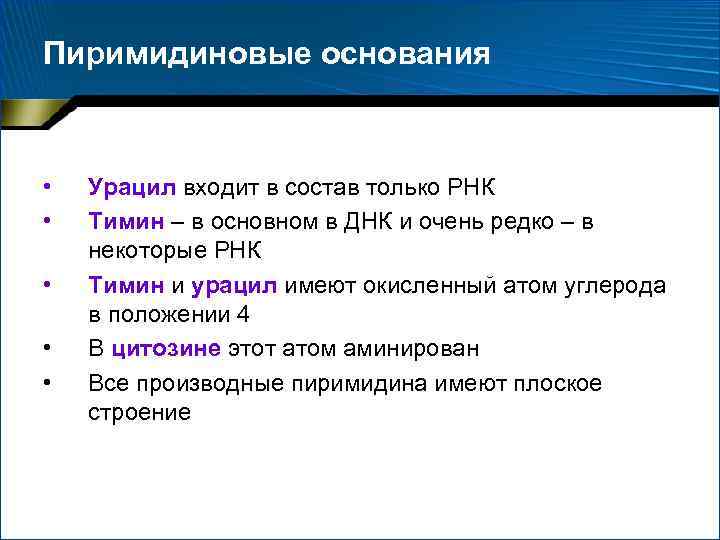 Пиримидиновые основания • • • Урацил входит в состав только РНК Тимин – в