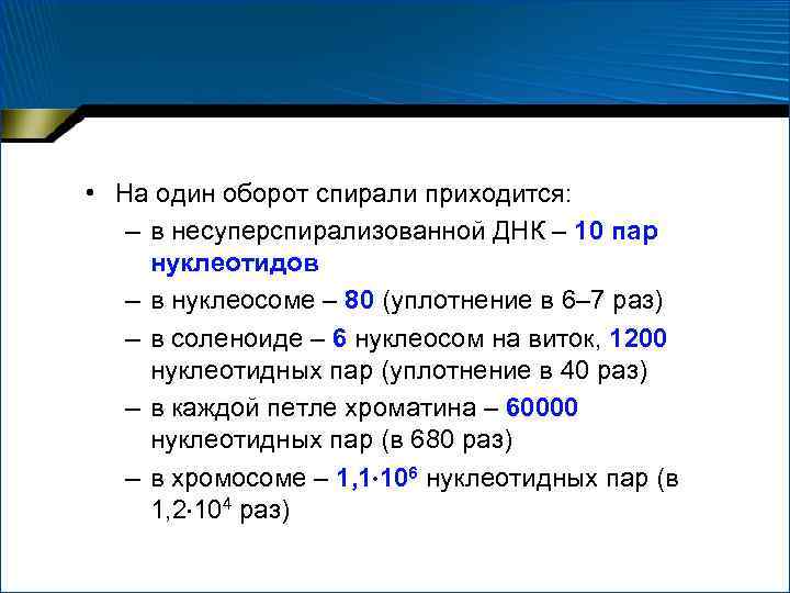  • На один оборот спирали приходится: – в несуперспирализованной ДНК – 10 пар