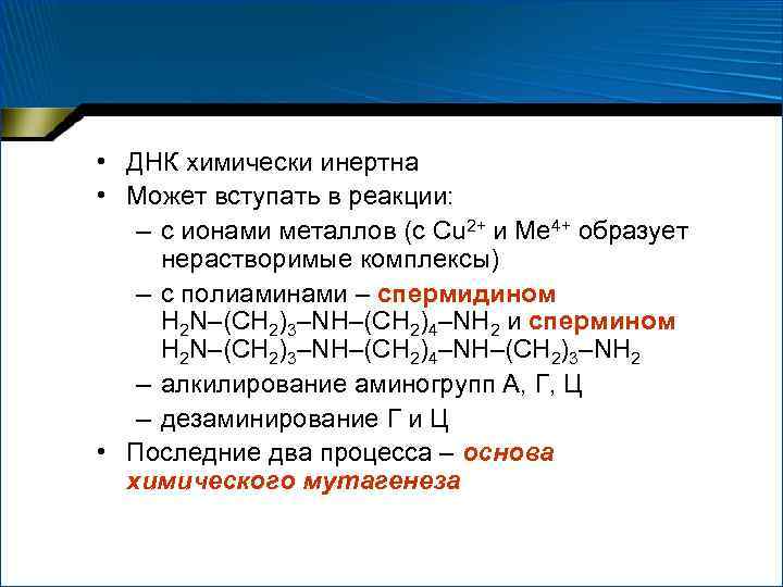  • ДНК химически инертна • Может вступать в реакции: – с ионами металлов