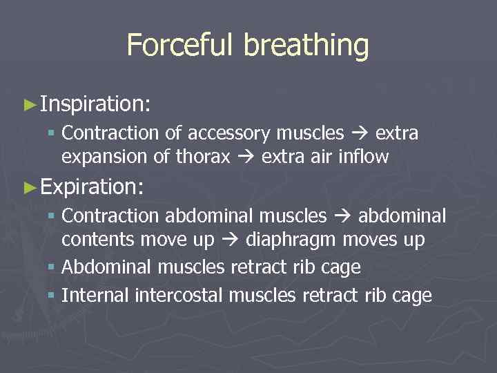 Forceful breathing ► Inspiration: § Contraction of accessory muscles extra expansion of thorax extra