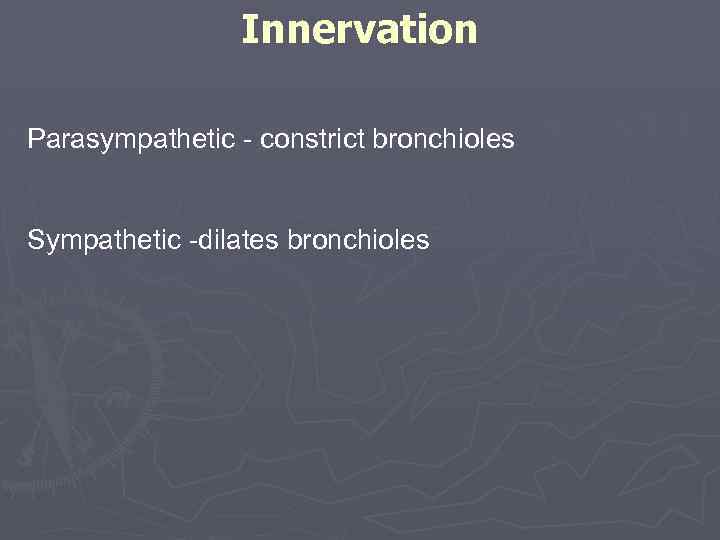 Innervation Parasympathetic - constrict bronchioles Sympathetic -dilates bronchioles 