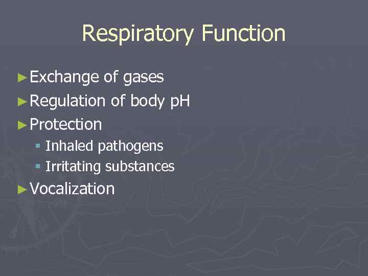 Respiratory Function ► Exchange of gases ► Regulation of body p. H ► Protection