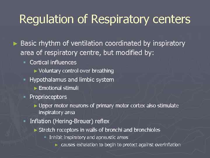 Regulation of Respiratory centers ► Basic rhythm of ventilation coordinated by inspiratory area of