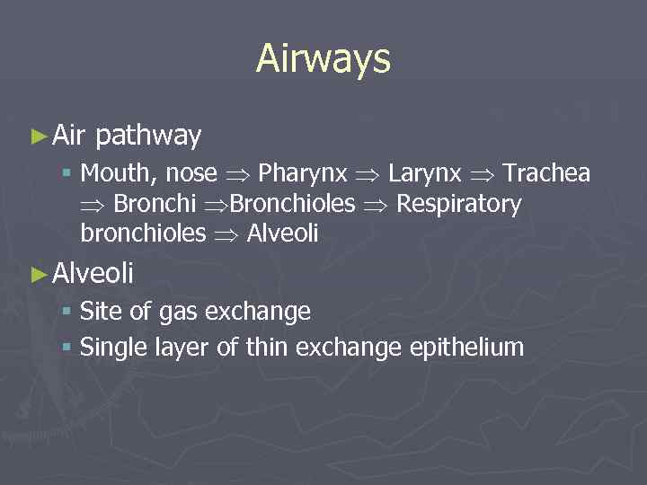 Airways ► Air pathway § Mouth, nose Pharynx Larynx Trachea Bronchioles Respiratory bronchioles Alveoli