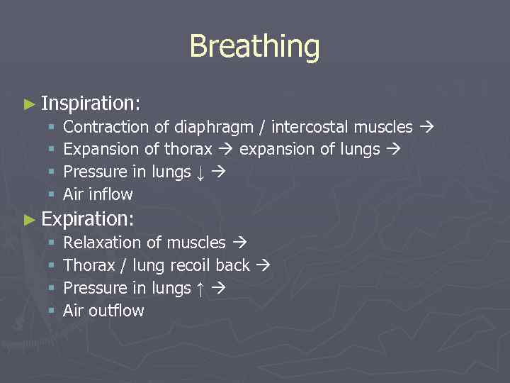 Breathing ► Inspiration: § Contraction of diaphragm / intercostal muscles § Expansion of thorax