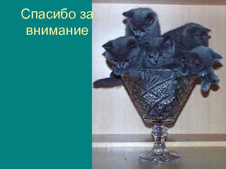 Спасибо за внимание Мурманск, 2005 66 