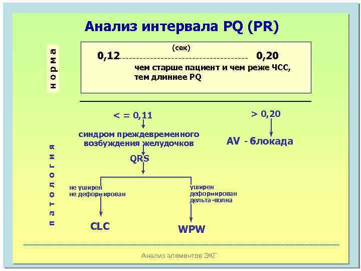 норма Анализ интервала PQ (РR) (сек) 0, 12 0, 20 чем старше пациент и