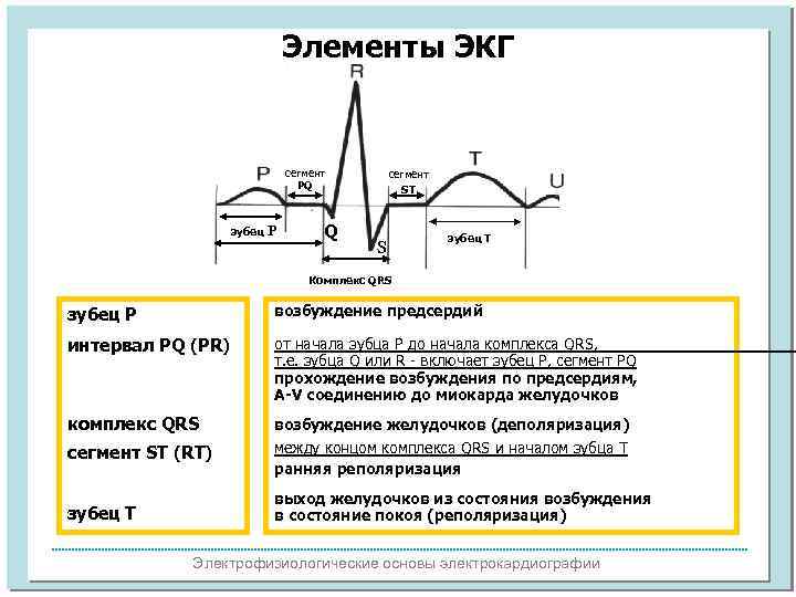 Элементы ЭКГ сегмент PQ зубец Р Q сегмент ST зубец Т S ST Комплекс