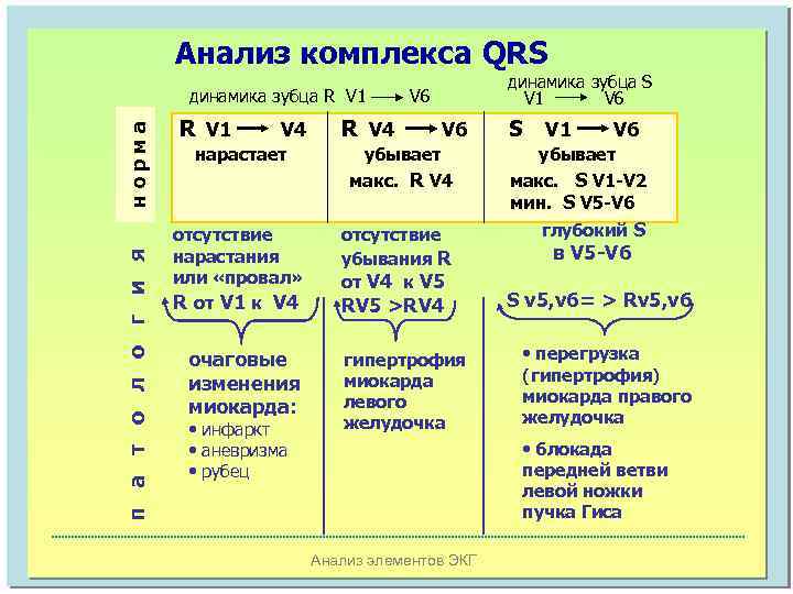 Анализ комплекса QRS п а т о л о г и я норма динамика