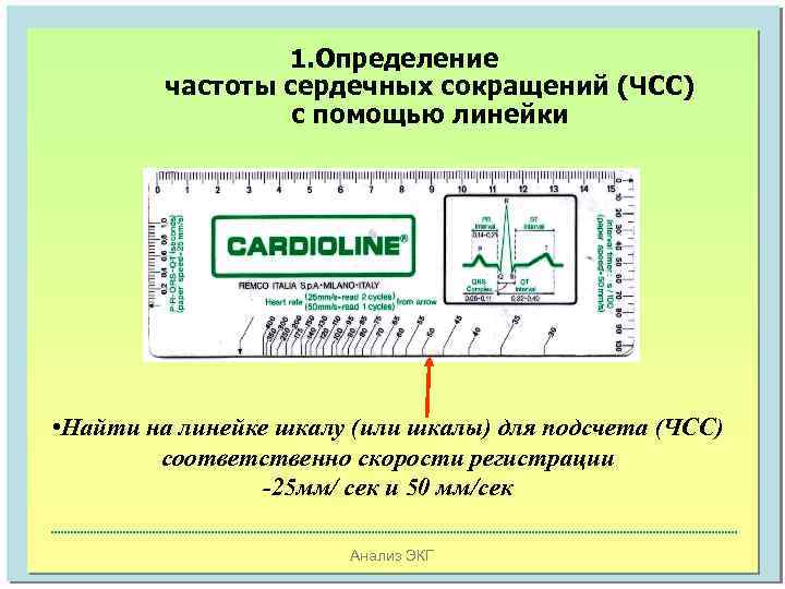 1. Определение частоты сердечных сокращений (ЧСС) с помощью линейки • Найти на линейке шкалу