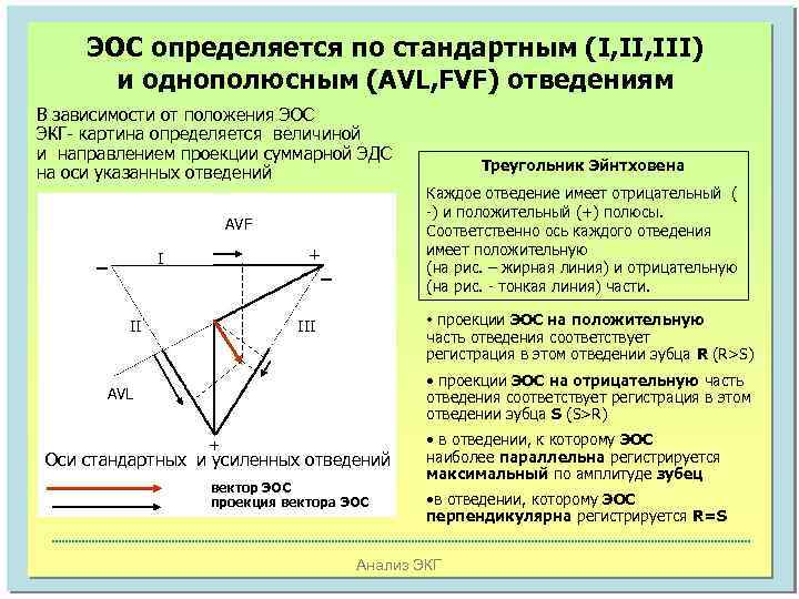 ЭОС определяется по стандартным (I, III) и однополюсным (AVL, FVF) отведениям В зависимости от