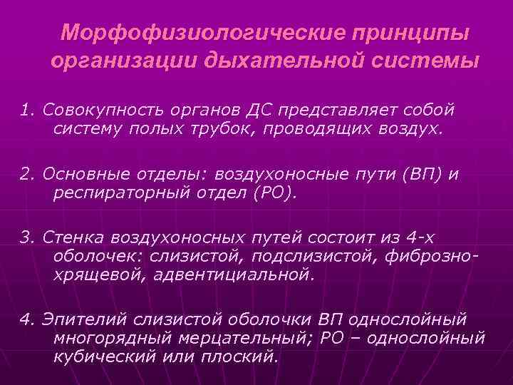 Морфофизиологические принципы организации дыхательной системы 1. Совокупность органов ДС представляет собой систему полых трубок,