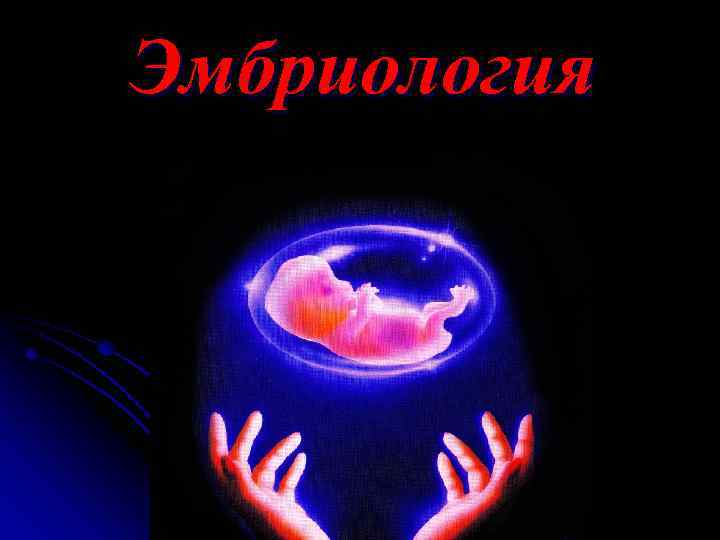 Эмбриология 