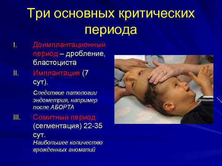 Три основных критических периода I. II. Доимплантационный период – дробление, бластоциста Имплантация (7 сут).