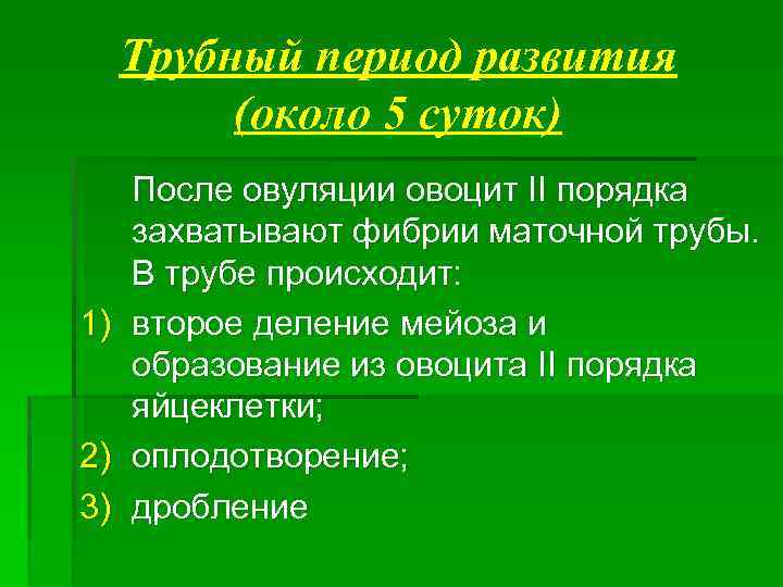 Трубный период развития (около 5 суток) 1) 2) 3) После овуляции овоцит II порядка