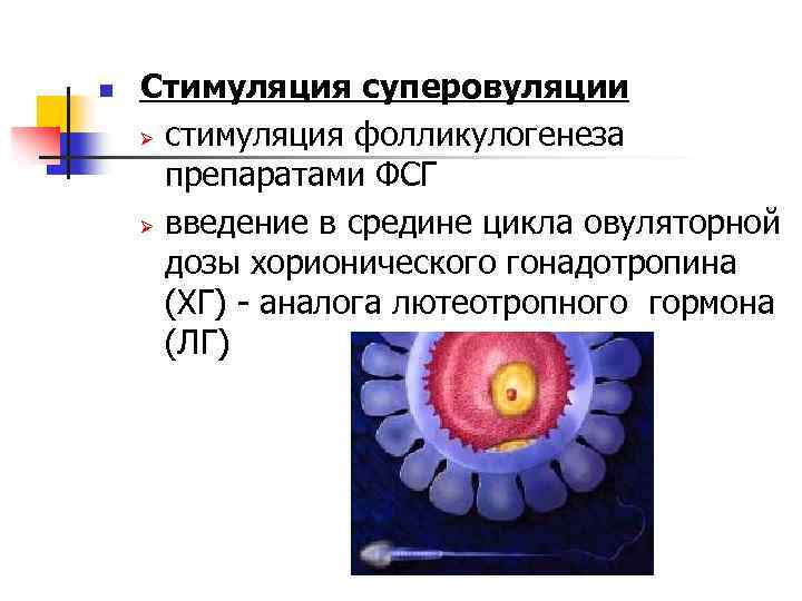n Стимуляция суперовуляции Ø стимуляция фолликулогенеза препаратами ФСГ Ø введение в средине цикла овуляторной