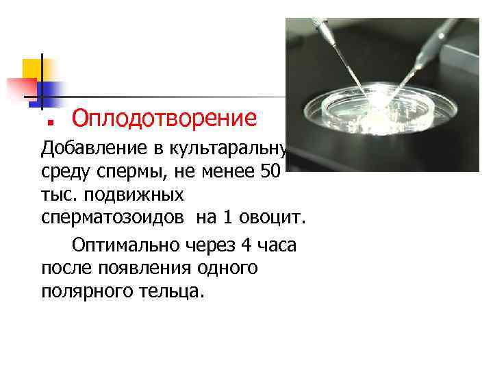 n Оплодотворение Добавление в культаральную среду спермы, не менее 50 тыс. подвижных сперматозоидов на