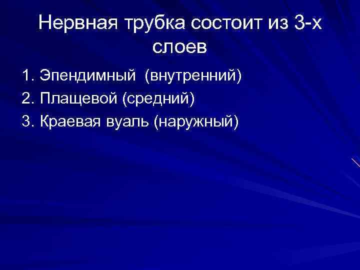 Нервная трубка состоит из 3 -х слоев 1. Эпендимный (внутренний) 2. Плащевой (средний) 3.