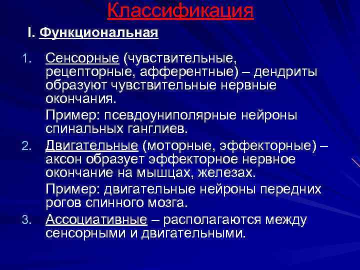 Классификация I. Функциональная 1. Сенсорные (чувствительные, 2. 3. рецепторные, афферентные) – дендриты образуют чувствительные
