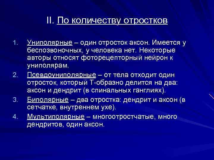 II. По количеству отростков 1. 2. 3. 4. Униполярные – один отросток аксон. Имеется