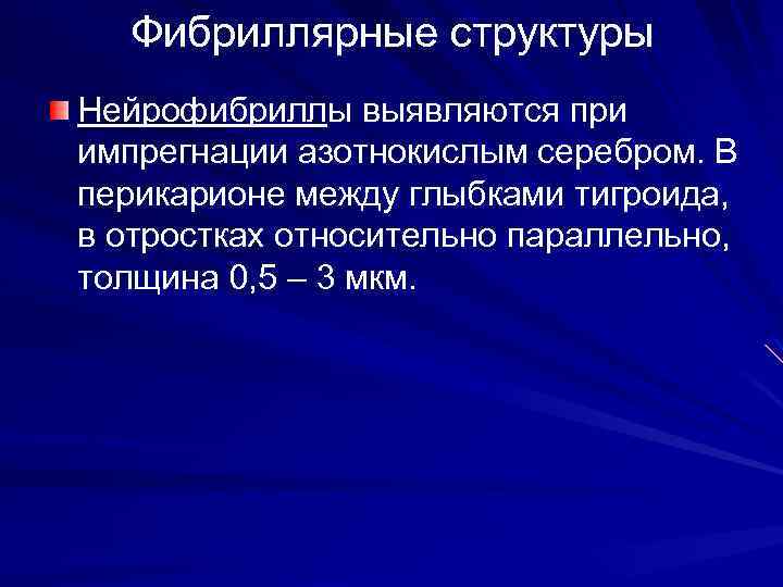 Фибриллярные структуры Нейрофибриллы выявляются при импрегнации азотнокислым серебром. В перикарионе между глыбками тигроида, в