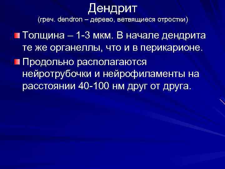 Дендрит (греч. dendron – дерево, ветвящиеся отростки) Толщина – 1 -3 мкм. В начале