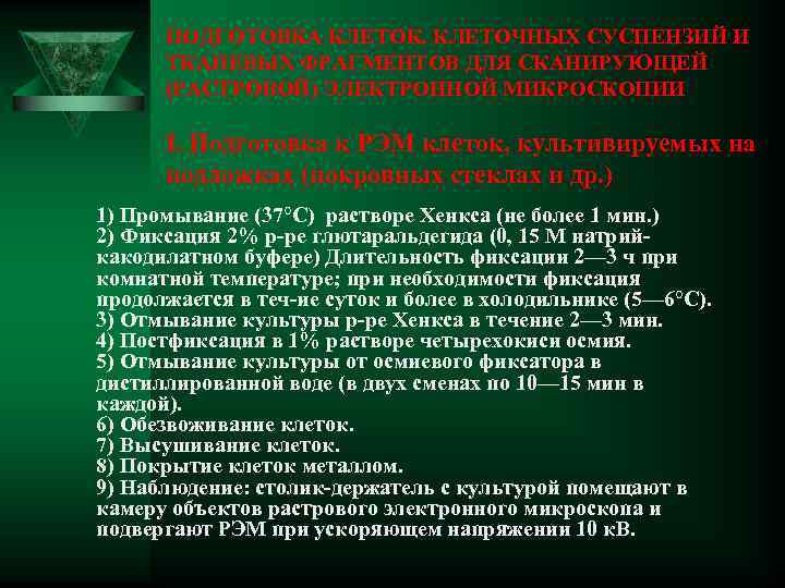 ПОДГОТОВКА КЛЕТОК, КЛЕТОЧНЫХ СУСПЕНЗИЙ И ТКАНЕВЫХ ФРАГМЕНТОВ ДЛЯ СКАНИРУЮЩЕЙ (РАСТРОВОЙ) ЭЛЕКТРОННОЙ МИКРОСКОПИИ I. Подготовка