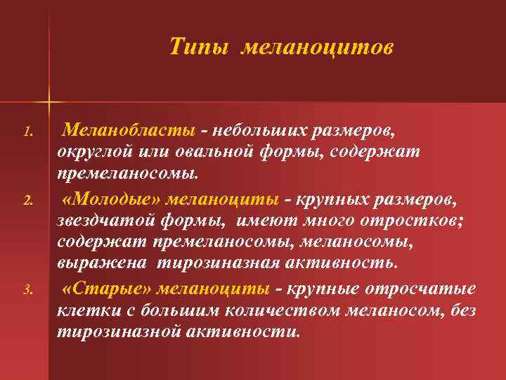 Типы меланоцитов 1. 2. 3. Меланобласты - небольших размеров, округлой или овальной формы, содержат