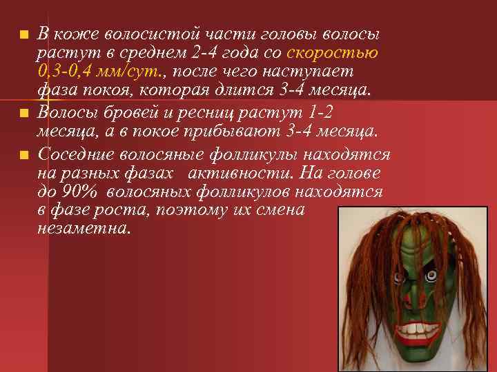 n n n В коже волосистой части головы волосы растут в среднем 2 -4