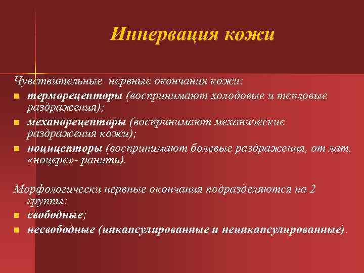 Иннервация кожи Чувствительные нервные окончания кожи: n терморецепторы (воспринимают холодовые и тепловые раздражения); n