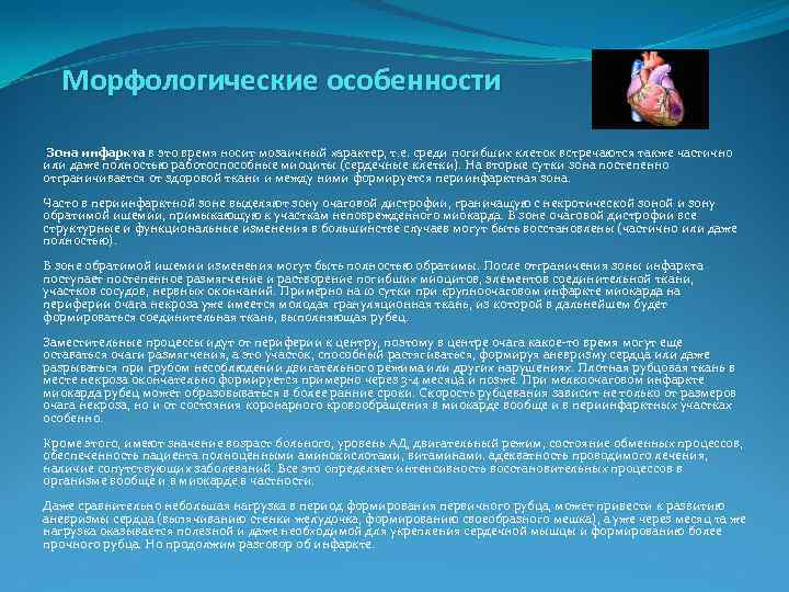  Морфологические особенности Зона инфаркта в это время носит мозаичный характер, т. е. среди