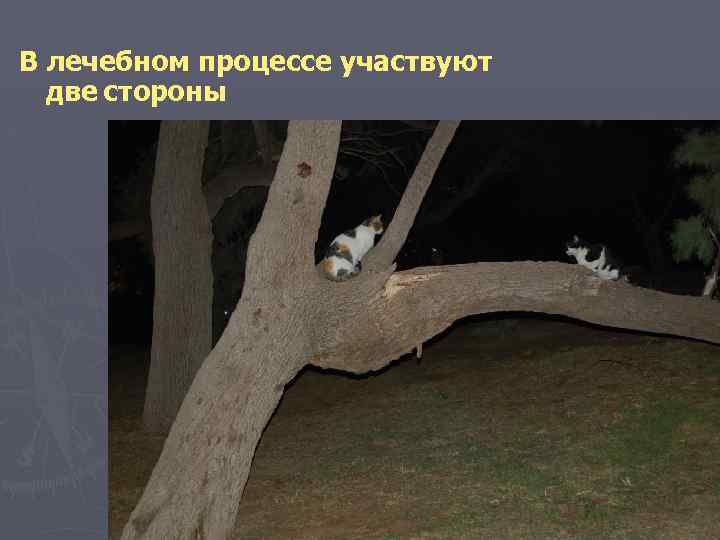 В лечебном процессе участвуют две стороны 