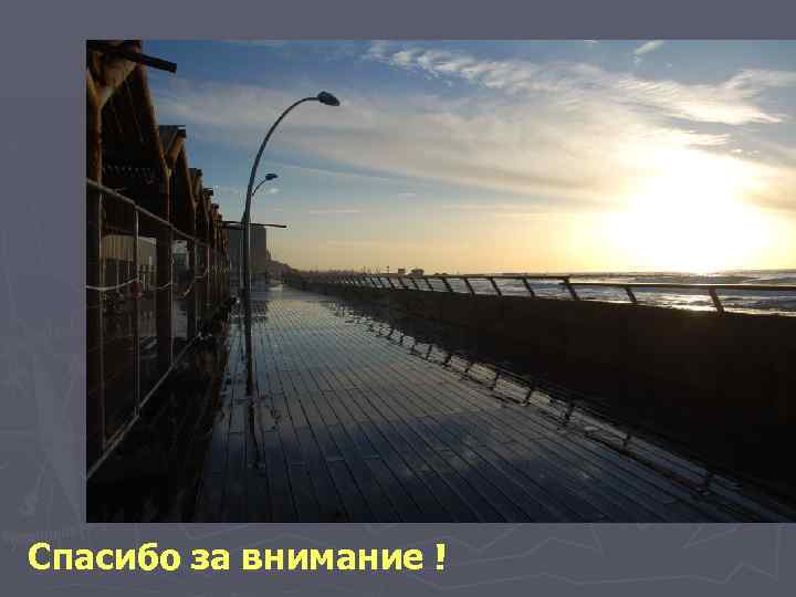 Спасибо за внимание ! 