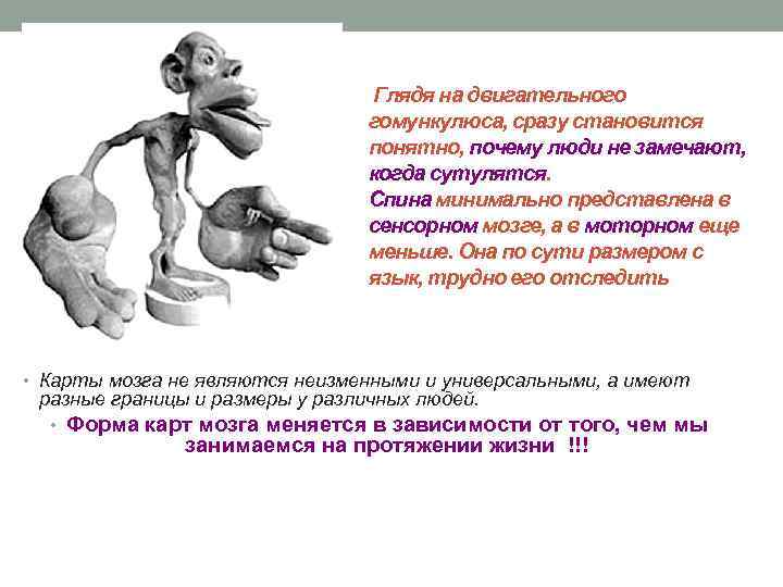  Глядя на двигательного гомункулюса, сразу становится понятно, почему люди не замечают, когда сутулятся.