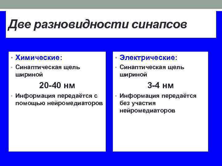 Две разновидности синапсов • Химические: • Синаптическая щель шириной 20 -40 нм • Информация