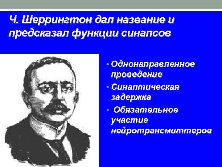 Ч. Шеррингтон дал название и предсказал функции синапсов • Однонаправленное проведение • Синаптическая задержка