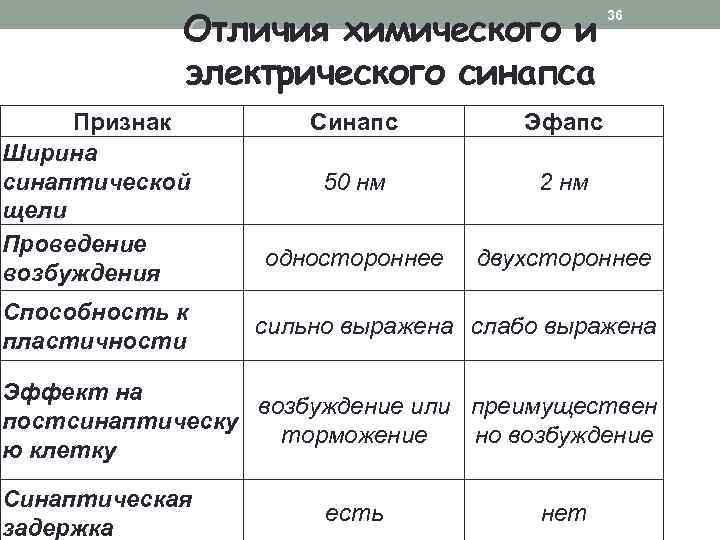 Отличия химического и электрического синапса Признак Ширина синаптической щели Проведение возбуждения Способность к пластичности