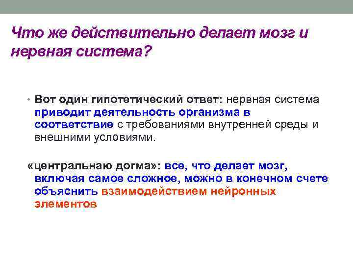 Что же действительно делает мозг и нервная система? • Вот один гипотетический ответ: нервная