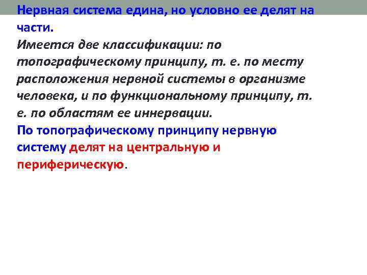 Нервная система едина, но условно ее делят на части. Имеется две классификации: по топографическому