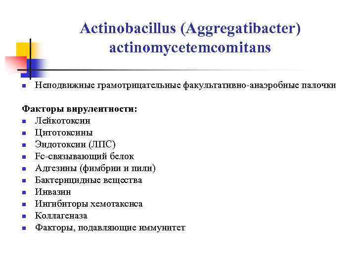  Actinobacillus (Aggregatibacter) actinomycetemcomitans n Неподвижные грамотрицательные факультативно-анаэробные палочки Факторы вирулентности: n Лейкотоксин n